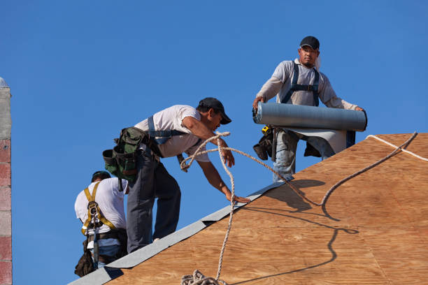Best Flat Roof Repair Services  in Red Lake, MN