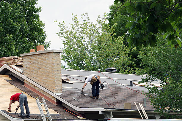 Best Roof Leak Repair  in Red Lake, MN