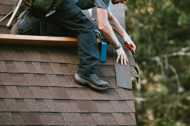 Best Roof Restoration Services  in Red Lake, MN